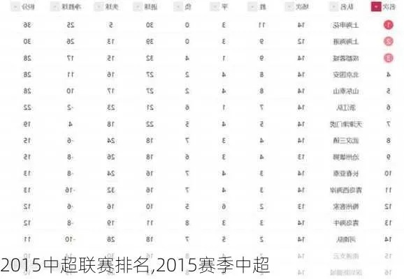 2015中超球员名单 2015中超最佳阵容