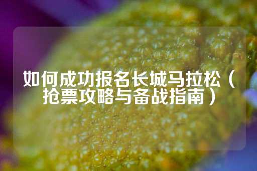 如何成功报名长城马拉松（抢票攻略与备战指南）