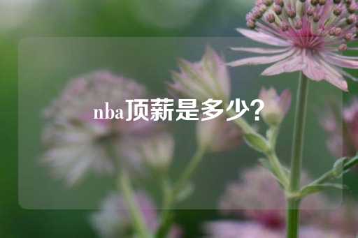 nba顶薪是多少？