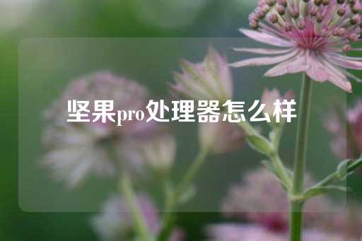 坚果pro处理器怎么样