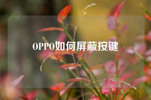 OPPO如何屏蔽按键