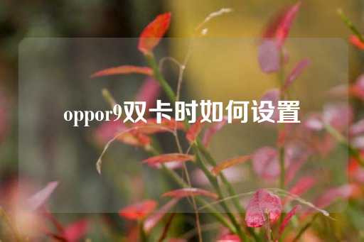 oppor9双卡时如何设置-第1张图片-皇冠信用盘出租