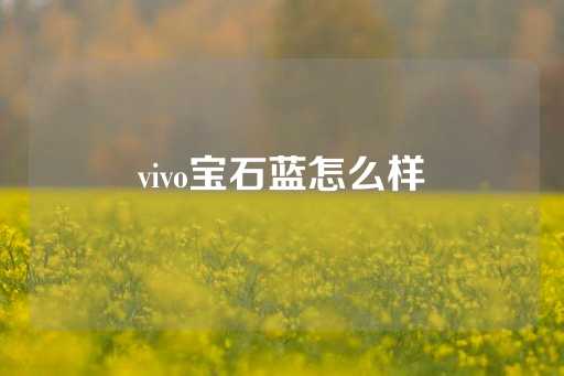 vivo宝石蓝怎么样