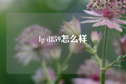 lg d859怎么样